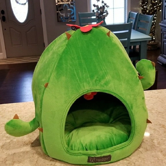 cactus cat bed